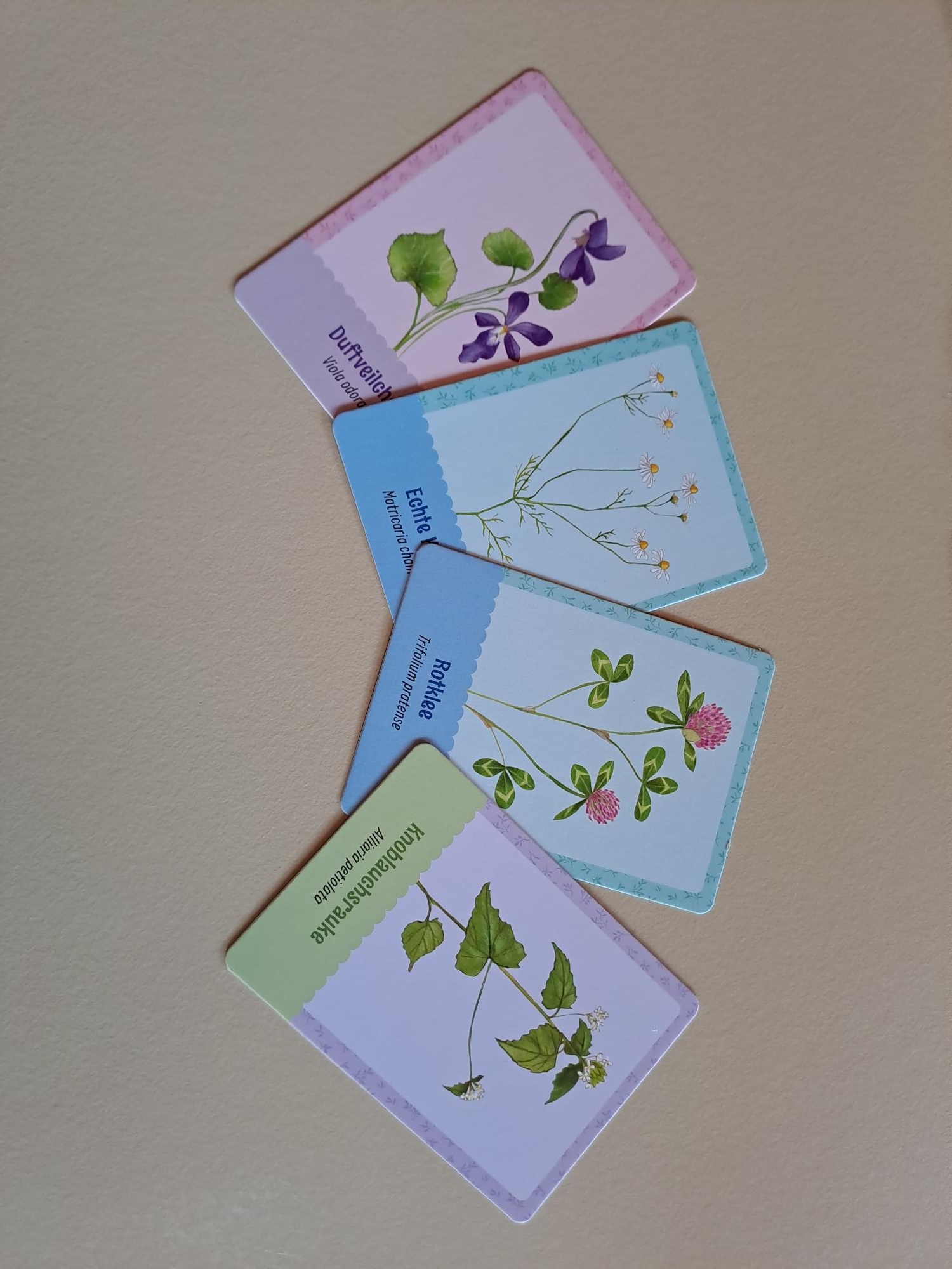 Kräuterkunde