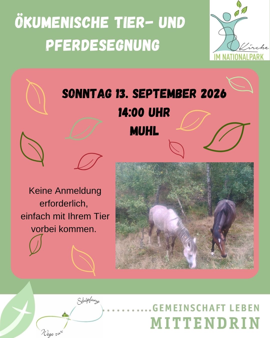 Flyer mit Angaben zur Veranstaltung