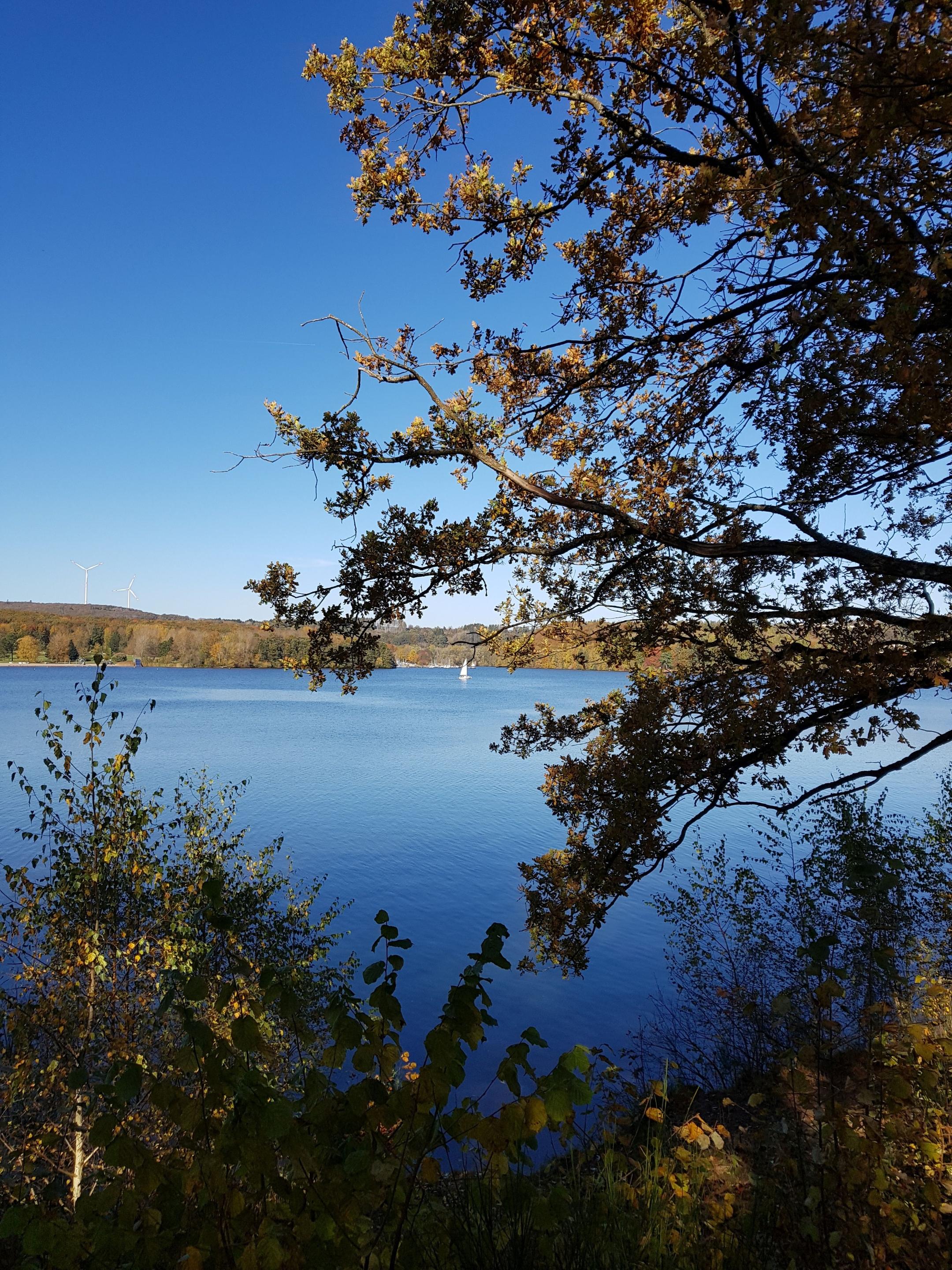 Abendlob Bostalsee