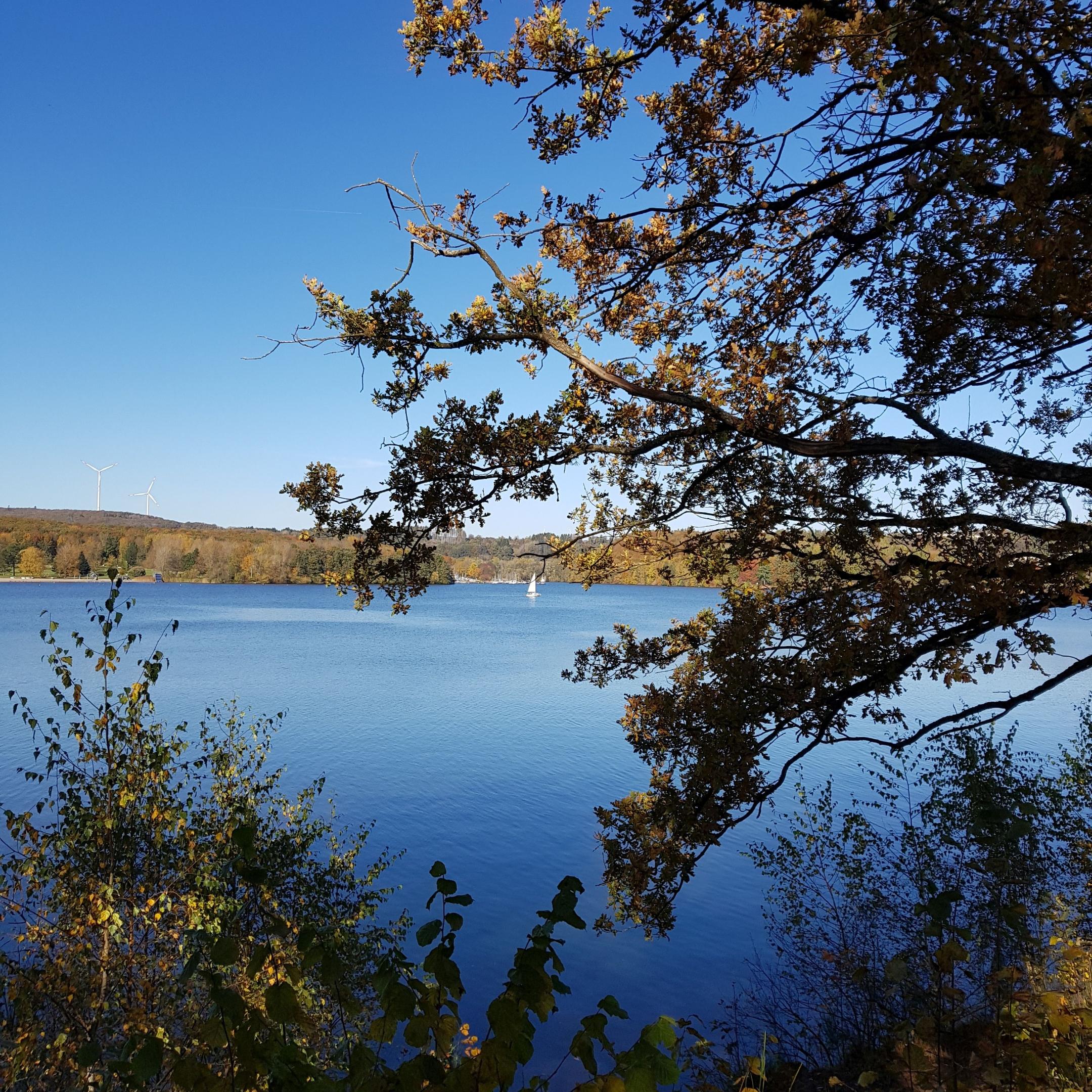 Abendlob am Bostalsee