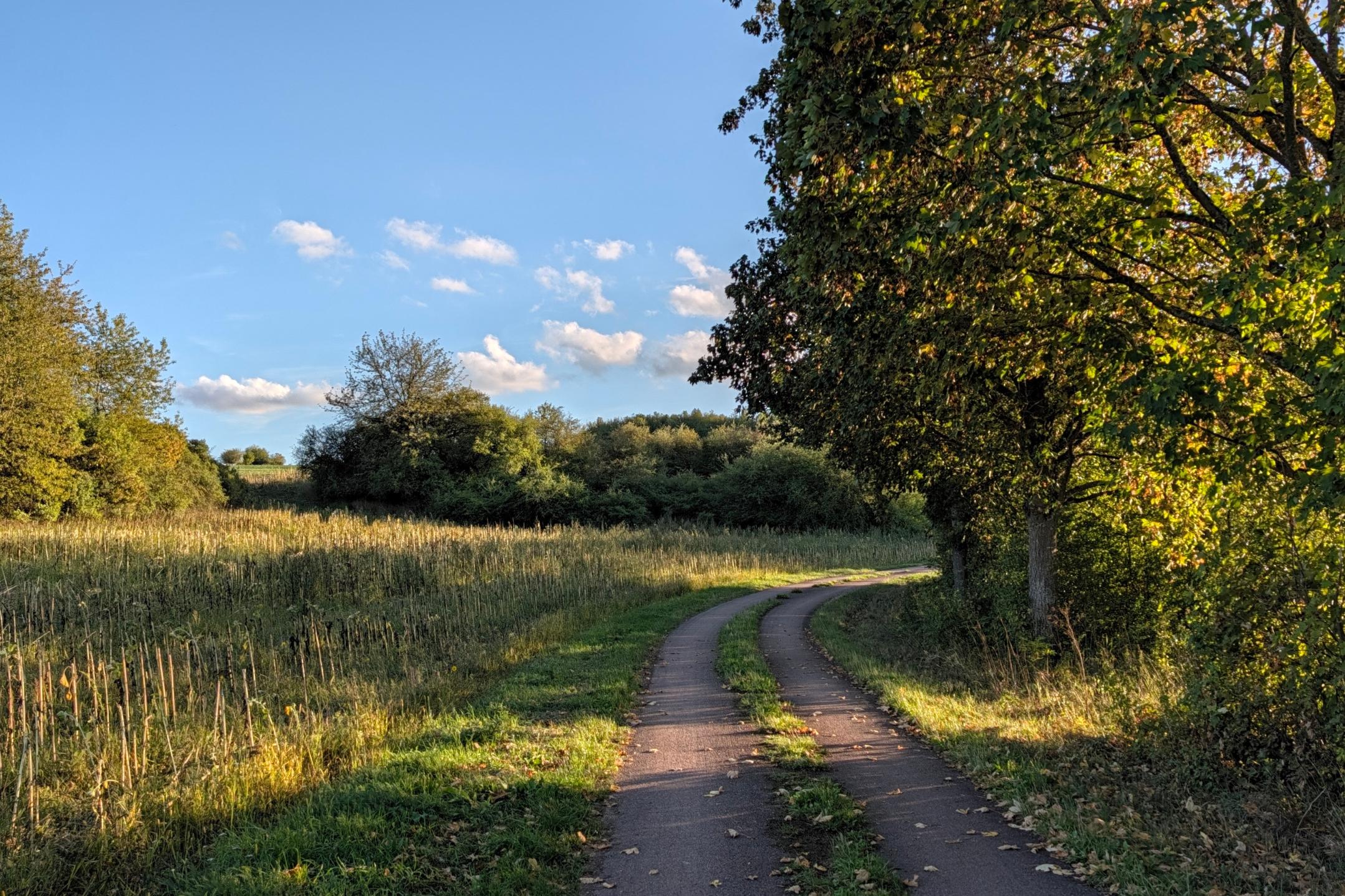 Ein langer Weg in der Natur vorbei an Bäumen und Wiesen